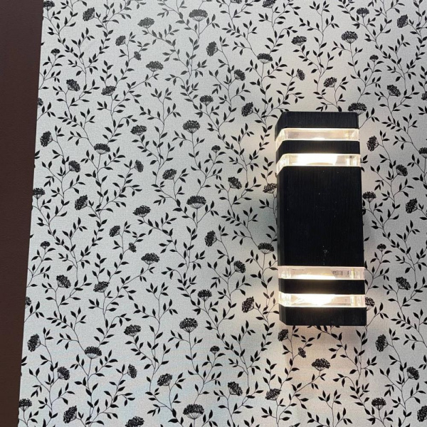 Andrea Rossi Spectrum Box 54456-12 Andrea Rossi Spectrum Box 54456-12