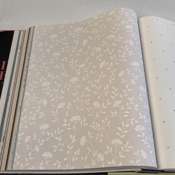 Andrea Rossi Spectrum Box 54456-9