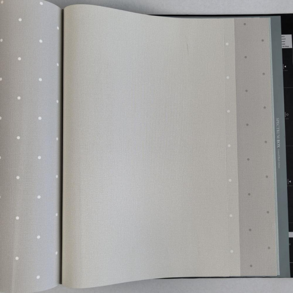 Andrea Rossi Spectrum Box 54455-2