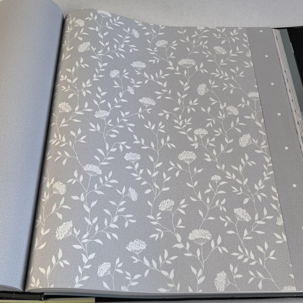 Andrea Rossi Spectrum Box 54456-5