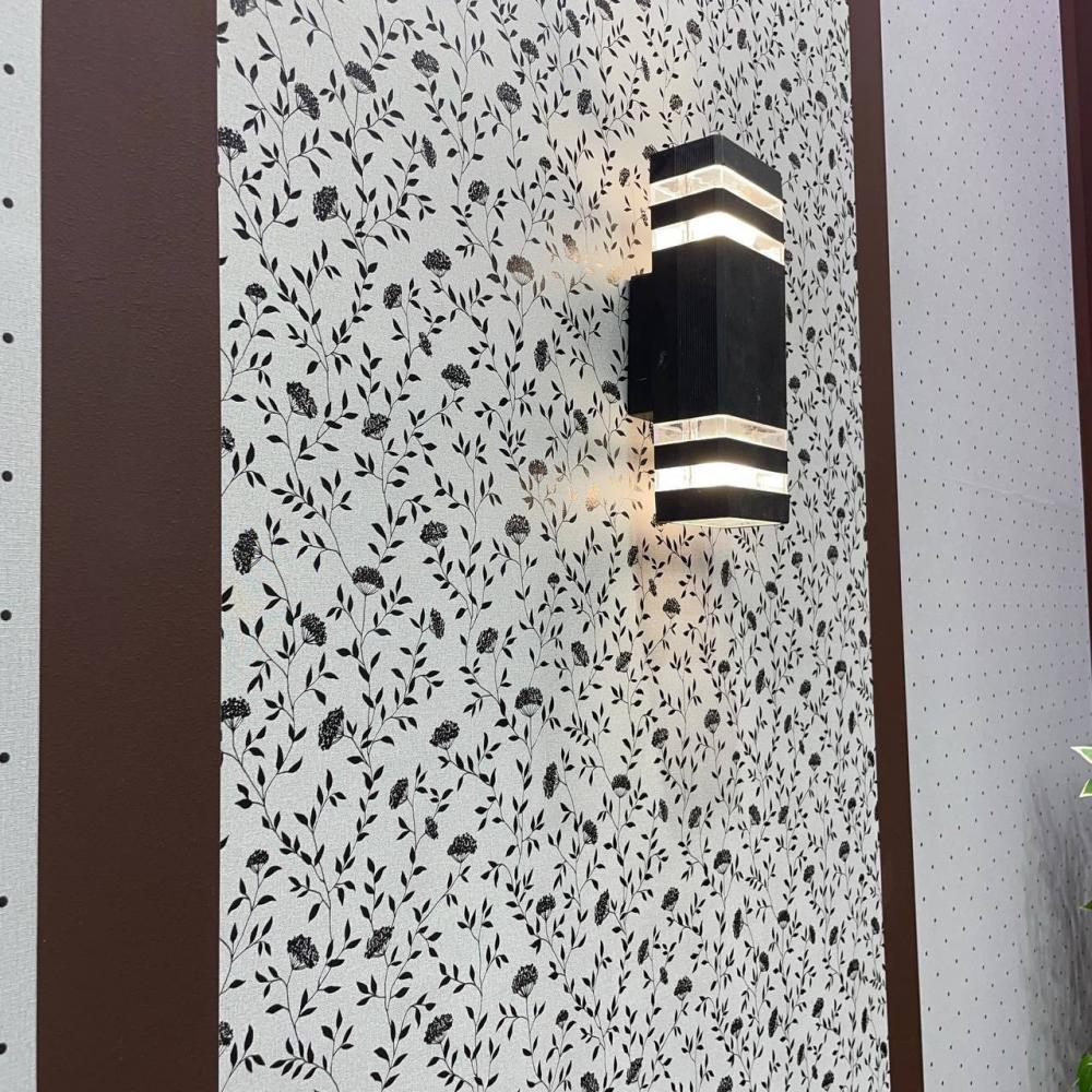 Andrea Rossi Spectrum Box 54456-12 Andrea Rossi Spectrum Box 54456-12