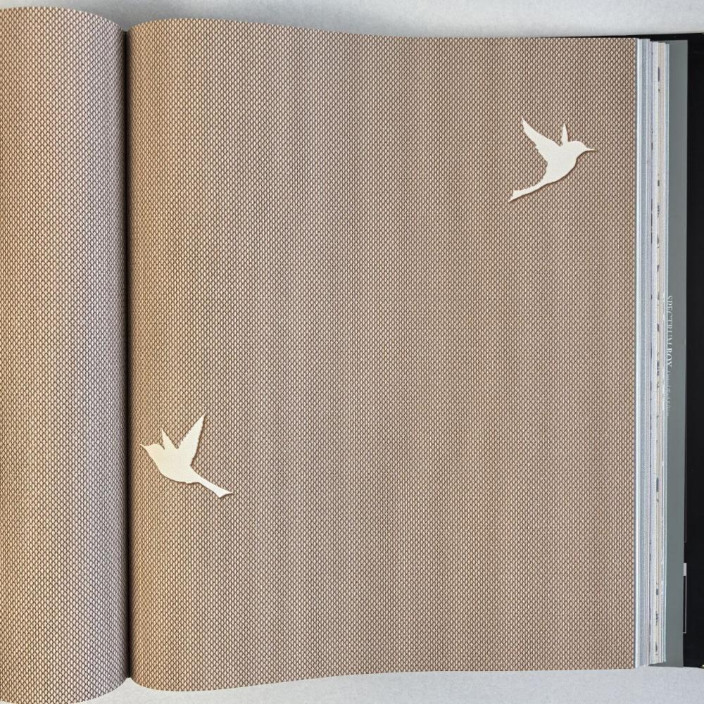 Andrea Rossi Spectrum Box 54458-13