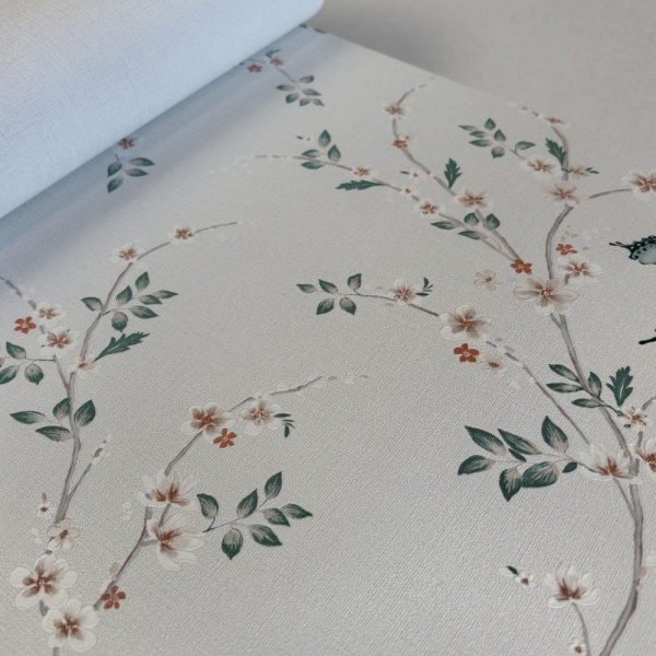 Andrea Rossi Spectrum Box 54460-6