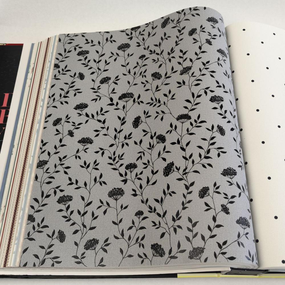 Andrea Rossi Spectrum Box 54456-12 Andrea Rossi Spectrum Box 54456-12