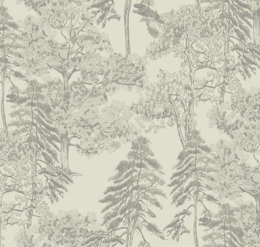 Milassa Ambient AM5 001