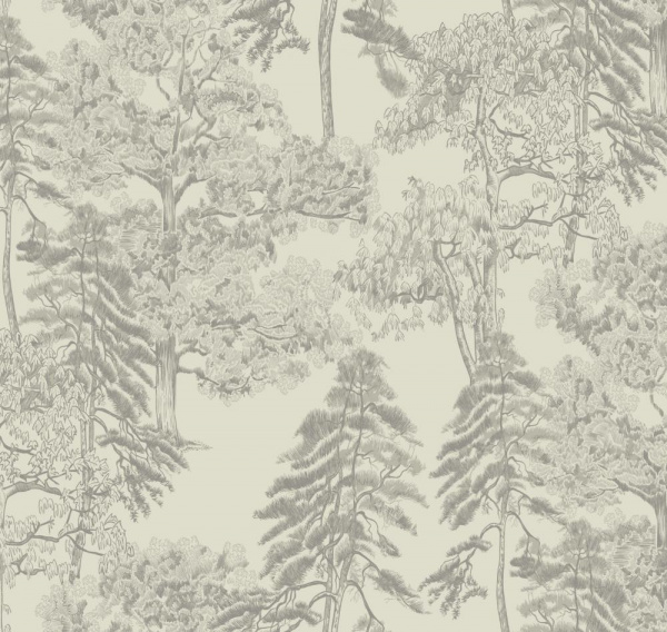 Milassa Ambient AM5 001